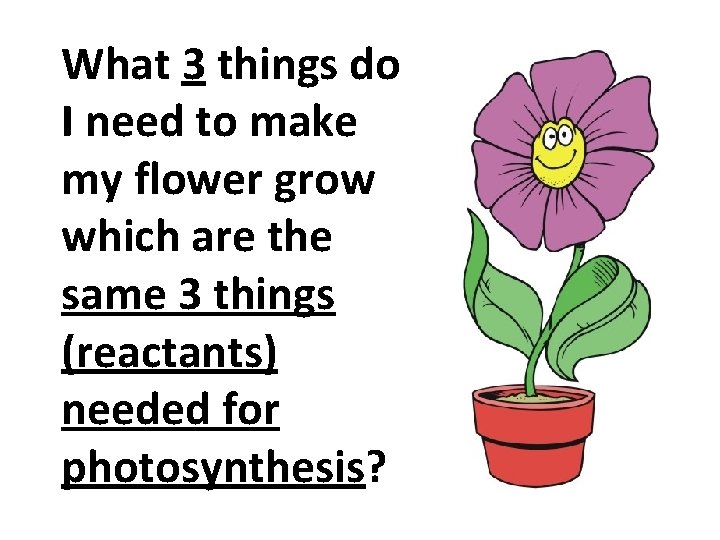 What 3 things do I need to make my flower grow which are the