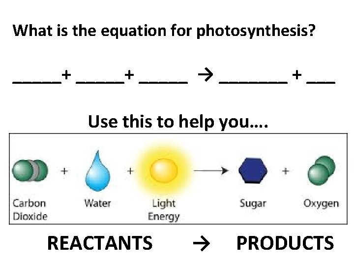 What is the equation for photosynthesis? _____+ _____ → _______ + ___ Use this