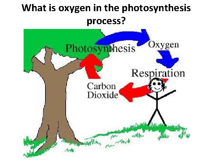 What is oxygen in the photosynthesis process? 