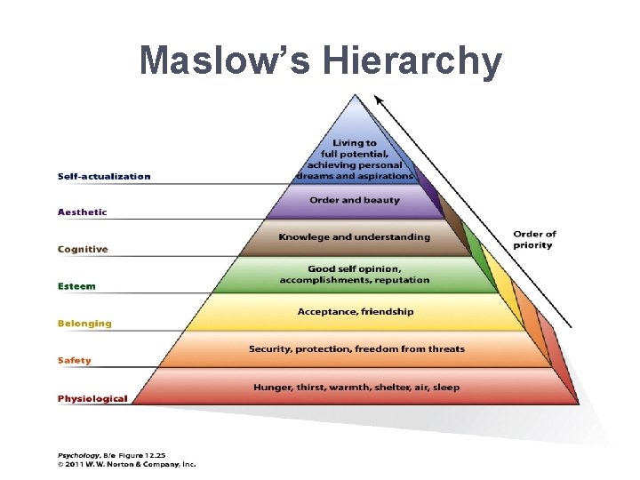 Maslow’s Hierarchy 