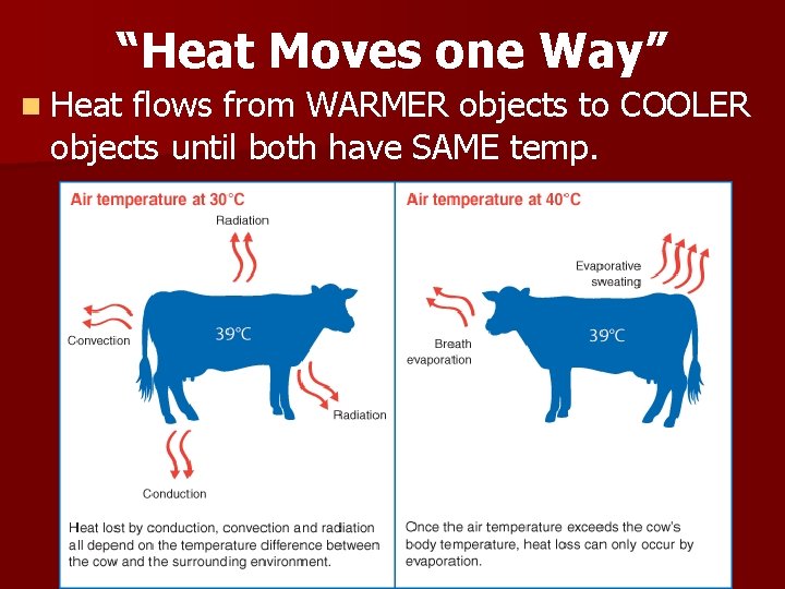 “Heat Moves one Way” n Heat flows from WARMER objects to COOLER objects until