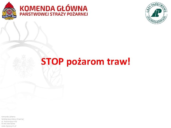 STOP pożarom traw! Komenda Główna Państwowej Straży Pożarnej ul. Podchorążych 38 00 -463 Warszawa