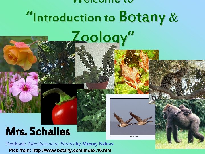 Welcome to “Introduction to Botany & Zoology” Mrs. Schalles Textbook: Introduction to Botany by
