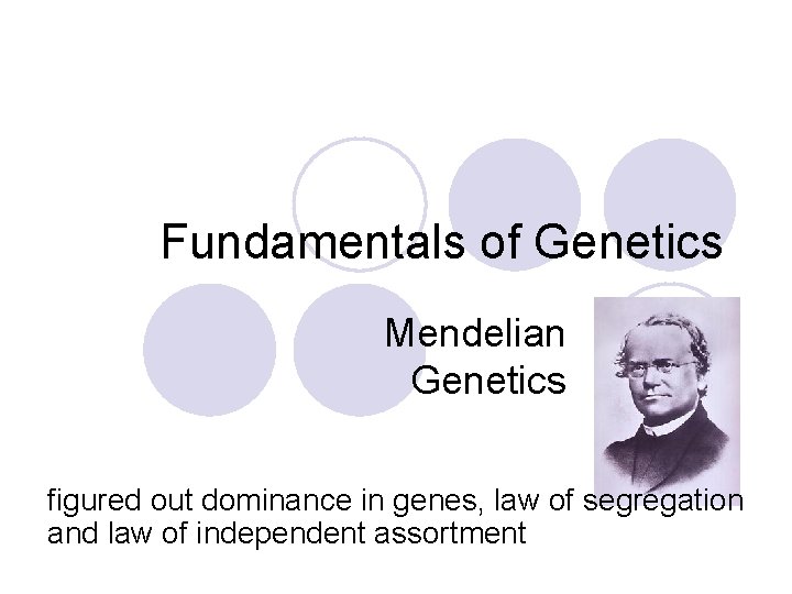 Fundamentals of Genetics Mendelian Genetics figured out dominance in genes, law of segregation and