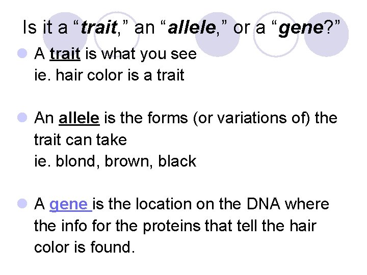 Is it a “trait, ” an “allele, ” or a “gene? ” l A