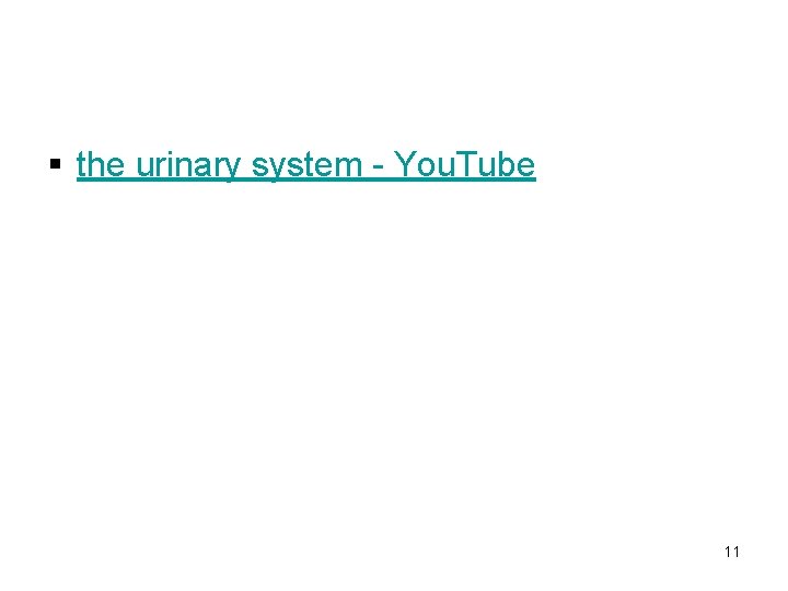 § the urinary system - You. Tube 11 