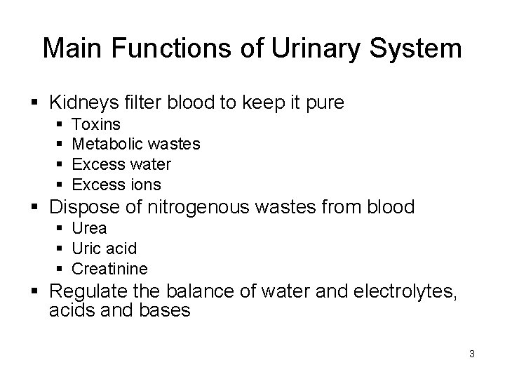 Main Functions of Urinary System § Kidneys filter blood to keep it pure §