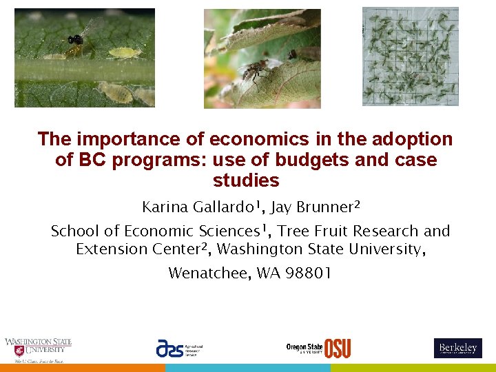 The importance of economics in the adoption of BC programs: use of budgets and