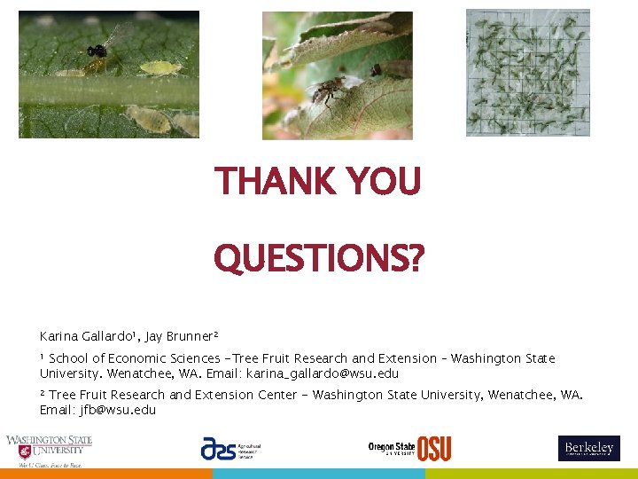 THANK YOU QUESTIONS? Karina Gallardo 1, Jay Brunner 2 School of Economic Sciences -Tree