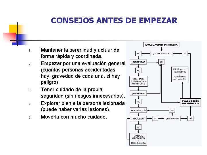 CONSEJOS ANTES DE EMPEZAR 1. 2. 3. 4. 5. Mantener la serenidad y actuar