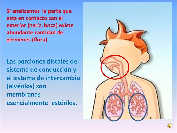 Si analizamos la parte que esta en contacto con el exterior (nariz, boca) existe