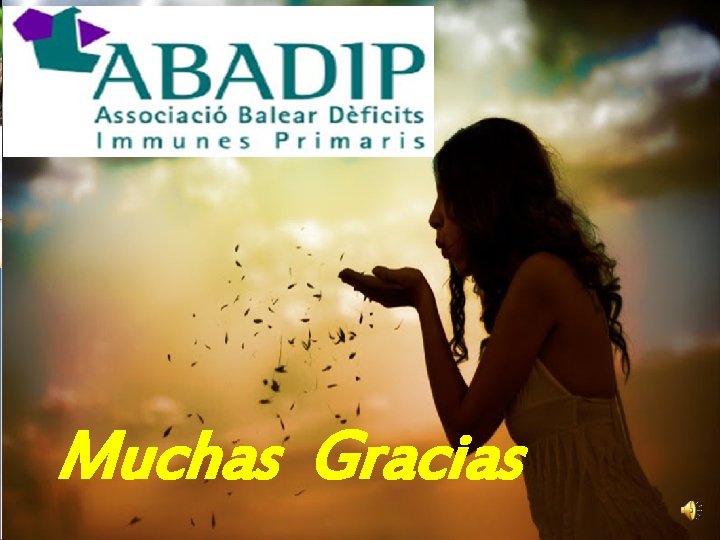 Muchas Gracias 