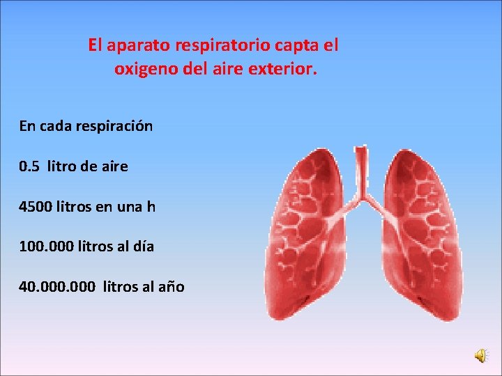 El aparato respiratorio capta el oxigeno del aire exterior. En cada respiración 0. 5