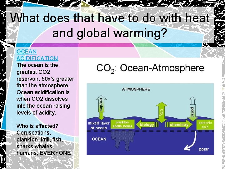 What does that have to do with heat and global warming? OCEAN ACIDIFICATION. The