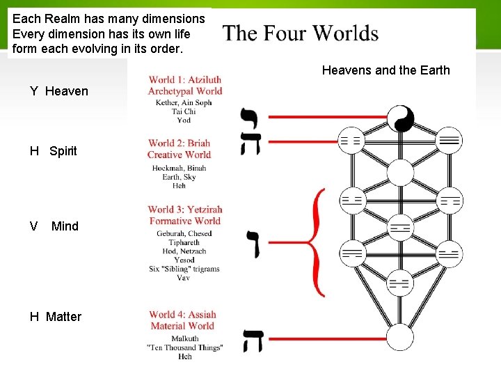 Each Realm has many dimensions Every dimension has its own life form each evolving