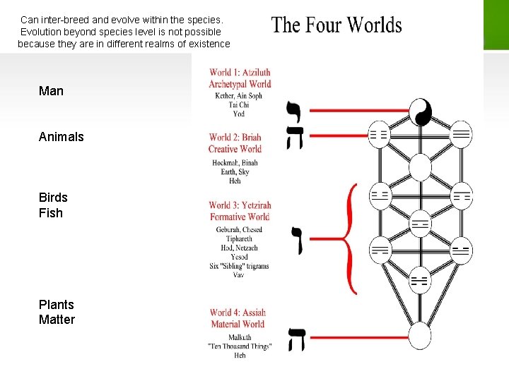 Can inter-breed and evolve within the species. Evolution beyond species level is not possible