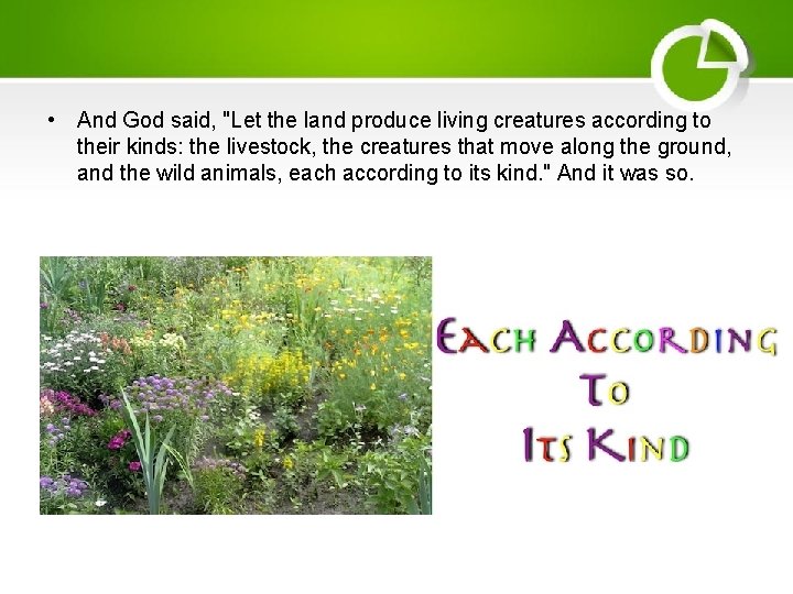  • And God said, "Let the land produce living creatures according to their