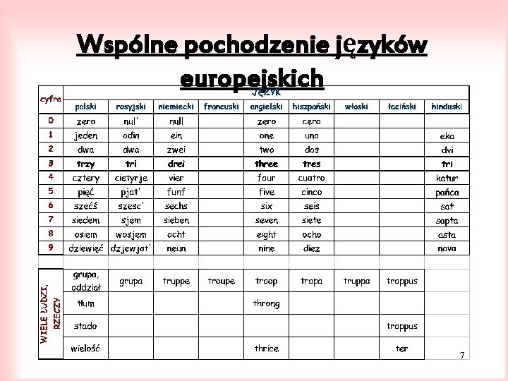 Wspólne pochodzenie języków europejskich 7 