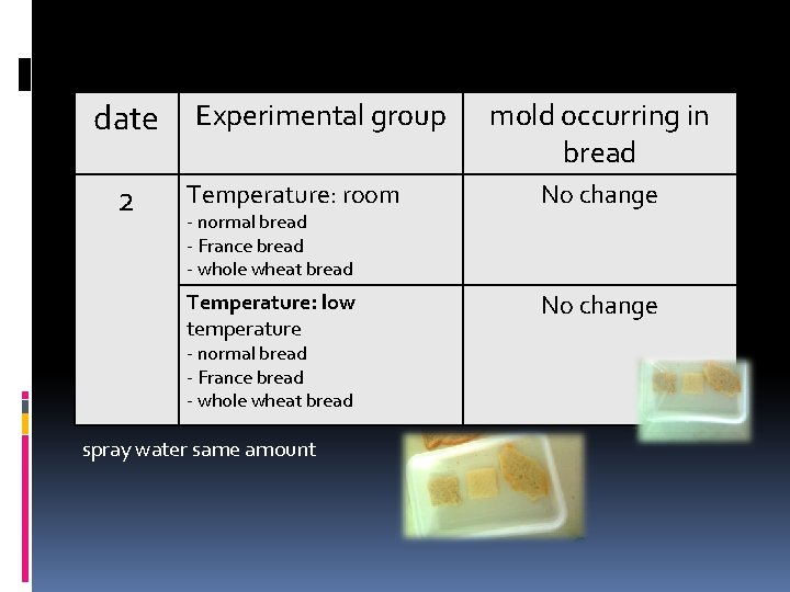 date 2 Experimental group mold occurring in bread Temperature: room No change Temperature: low