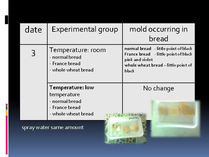 date 3 Experimental group Temperature: room - normal bread - France bread - whole