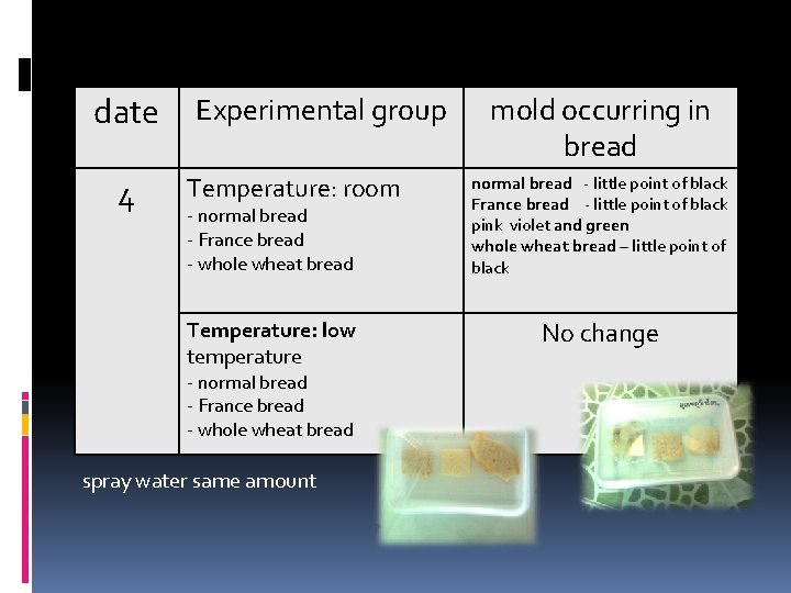 date 4 Experimental group Temperature: room - normal bread - France bread - whole