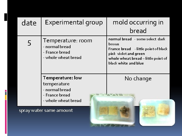 date 5 Experimental group Temperature: room - normal bread - France bread - whole