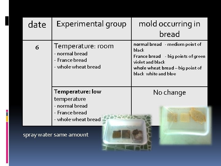 date 6 Experimental group Temperature: room - normal bread - France bread - whole