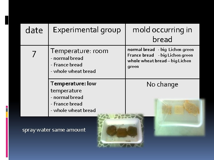 date 7 Experimental group Temperature: room - normal bread - France bread - whole