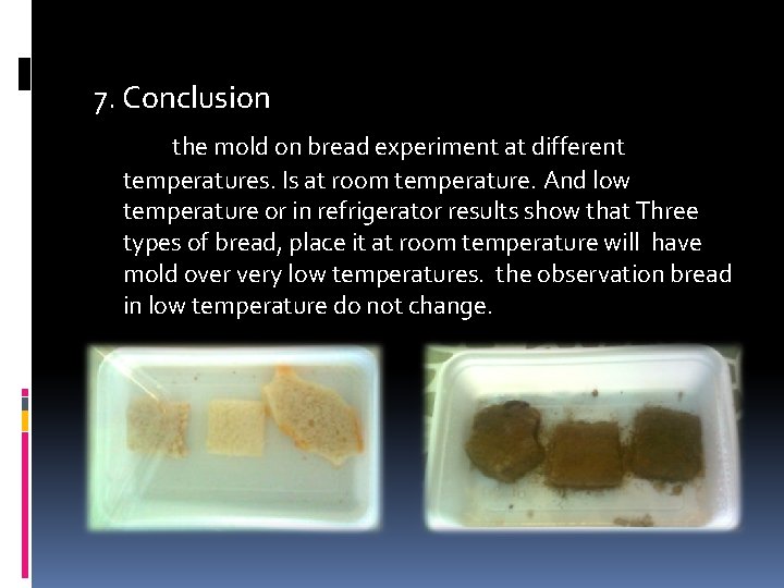 7. Conclusion the mold on bread experiment at different temperatures. Is at room temperature.