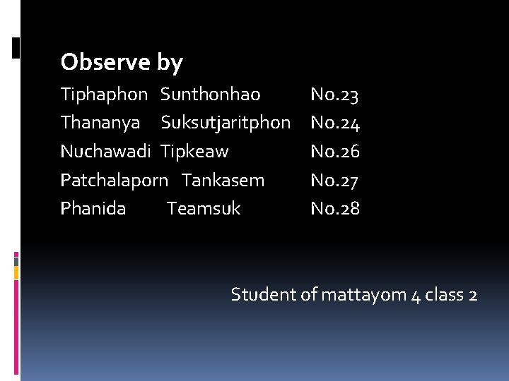 Observe by Tiphaphon Sunthonhao Thananya Suksutjaritphon Nuchawadi Tipkeaw Patchalaporn Tankasem Phanida Teamsuk No. 23