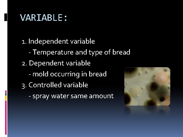 VARIABLE: 1. Independent variable - Temperature and type of bread 2. Dependent variable -