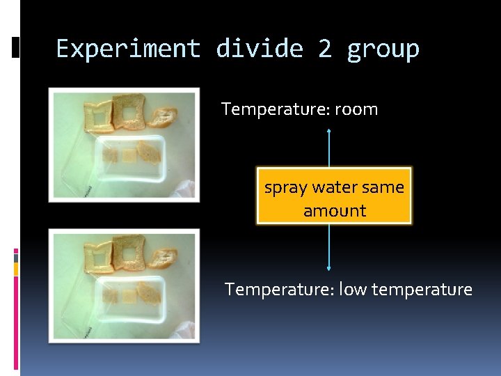 Experiment divide 2 group Temperature: room spray water same amount Temperature: low temperature 
