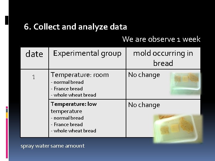 6. Collect and analyze data We are observe 1 week date 1 Experimental group