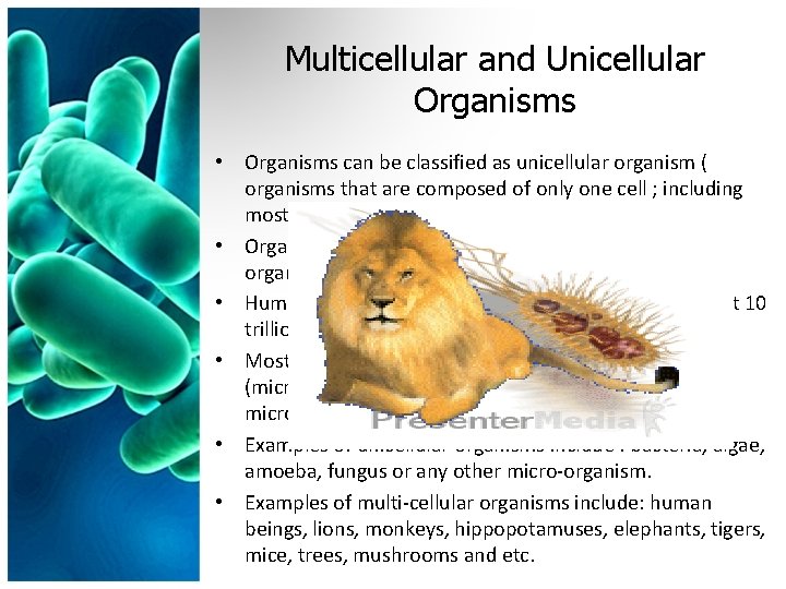 Multicellular and Unicellular Organisms • Organisms can be classified as unicellular organism ( organisms