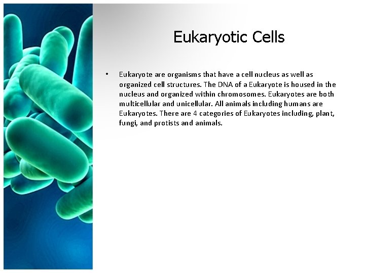 Eukaryotic Cells • Eukaryote are organisms that have a cell nucleus as well as