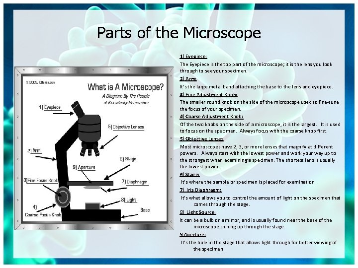Parts of the Microscope 1) Eyepiece: The Eyepiece is the top part of the