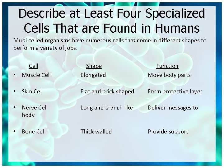 Describe at Least Four Specialized Cells That are Found in Humans Multi celled organisms