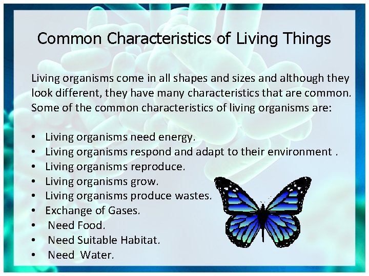 Common Characteristics of Living Things Living organisms come in all shapes and sizes and