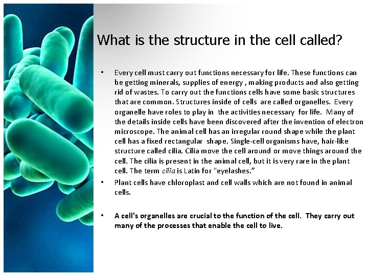 What is the structure in the cell called? • • • Every cell must
