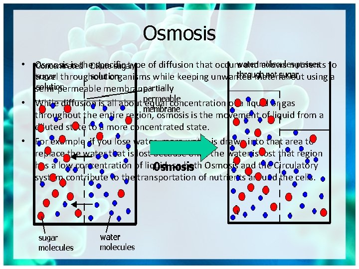 Osmosis • Osmosis is the specific type of diffusion that occurs and allows nutrients