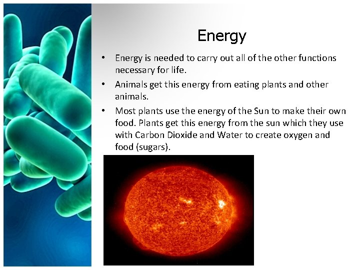 Energy • Energy is needed to carry out all of the other functions necessary