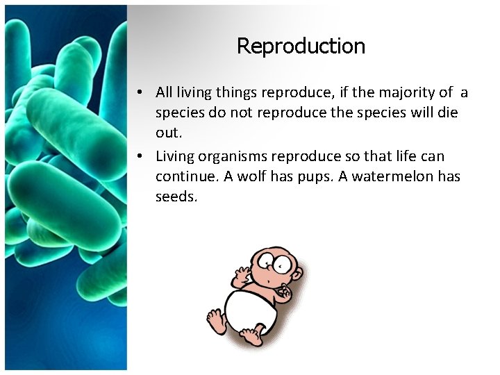 Reproduction • All living things reproduce, if the majority of a species do not