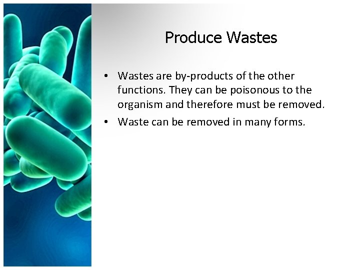 Produce Wastes • Wastes are by-products of the other functions. They can be poisonous