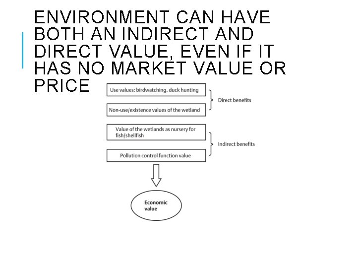 ENVIRONMENT CAN HAVE BOTH AN INDIRECT AND DIRECT VALUE, EVEN IF IT HAS NO