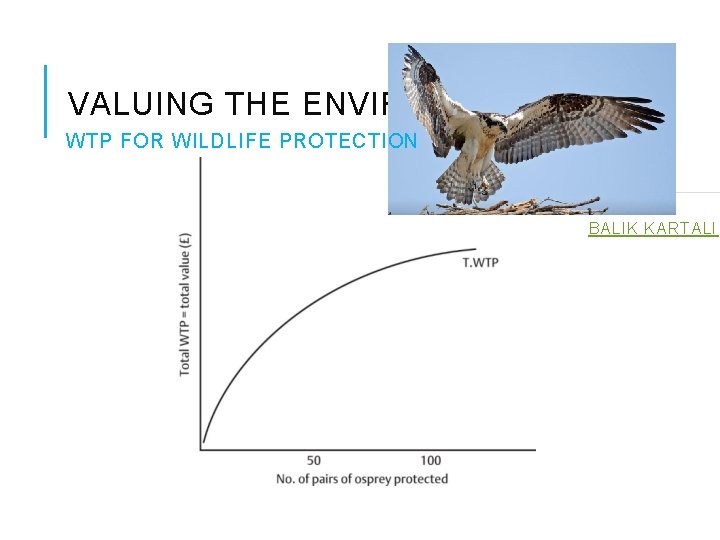 VALUING THE ENVIRONMENT WTP FOR WILDLIFE PROTECTION BALIK KARTALI 