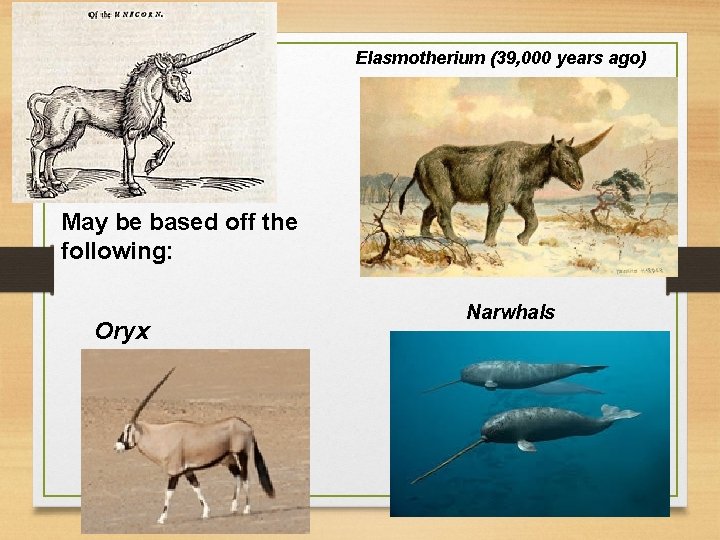 Elasmotherium (39, 000 years ago) May be based off the following: Oryx Narwhals 