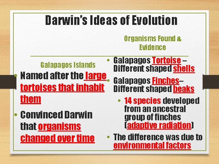 Darwin’s Ideas of Evolution Organisms Found & Evidence • • Galapagos Islands • Galapagos