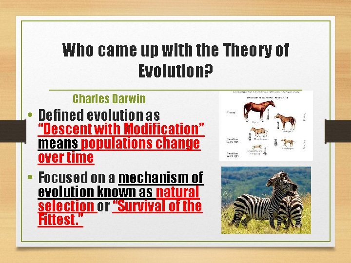 Who came up with the Theory of Evolution? Charles Darwin • Defined evolution as