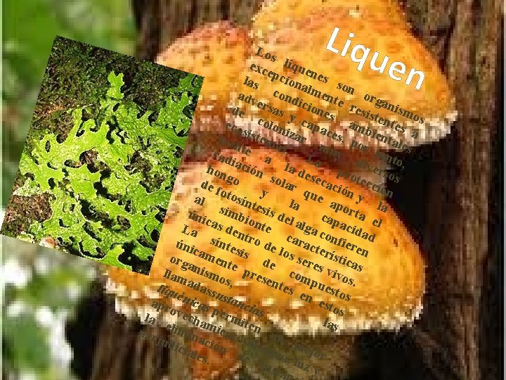 Liqu en Los exc líque e n las pciona es so adv cond lment