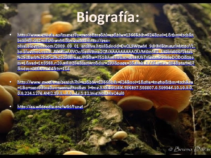 Biografía: • http: //www. google. es/imgres? q=saprofitos&hl=es&biw=1366&bih=624&noj=1&tbm=isch&t bnid=f 3 -GEDm 8 s. Rhwy. M: